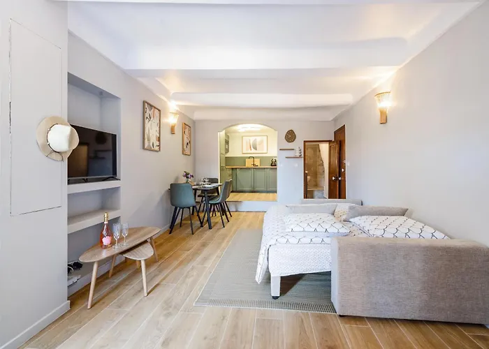 Апартаменти Vieux Chateau Ii - Agreable 2 Pieces - Vue - Vieille *